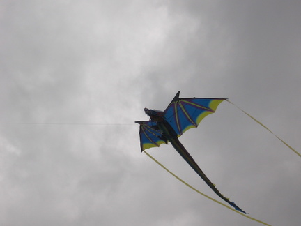 Kites 015